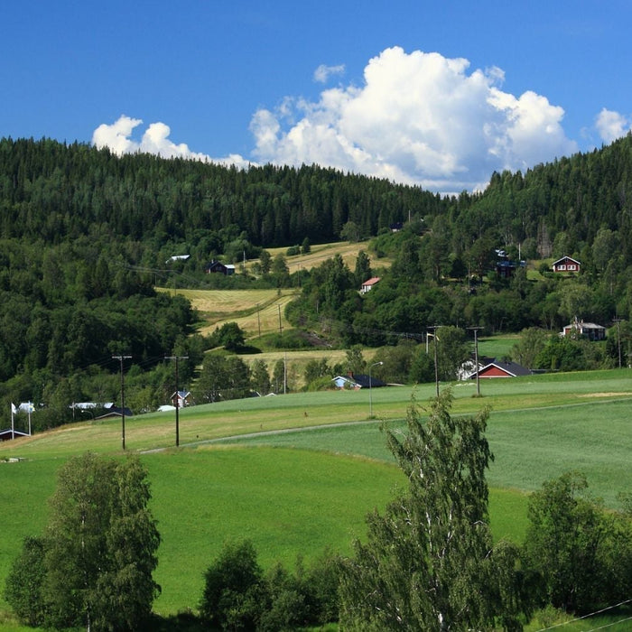 vakantie zweden natuur cultuur