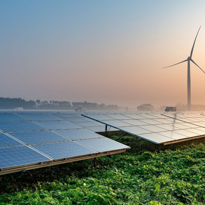 zonneparken nederland duurzame energie