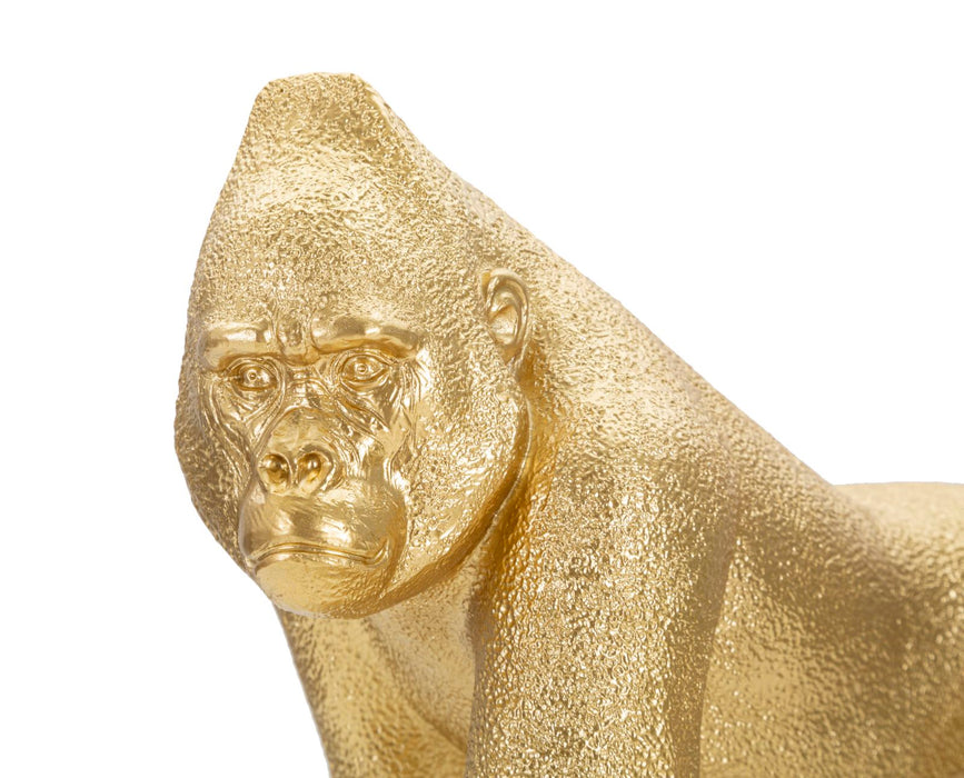 Thatlyfestyle Golden Front Gorilla