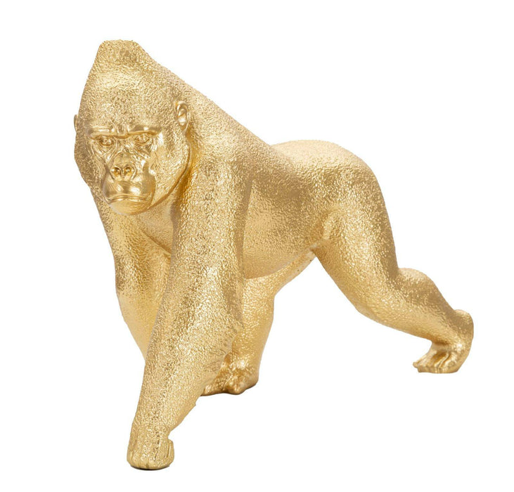 Golden Front Gorilla